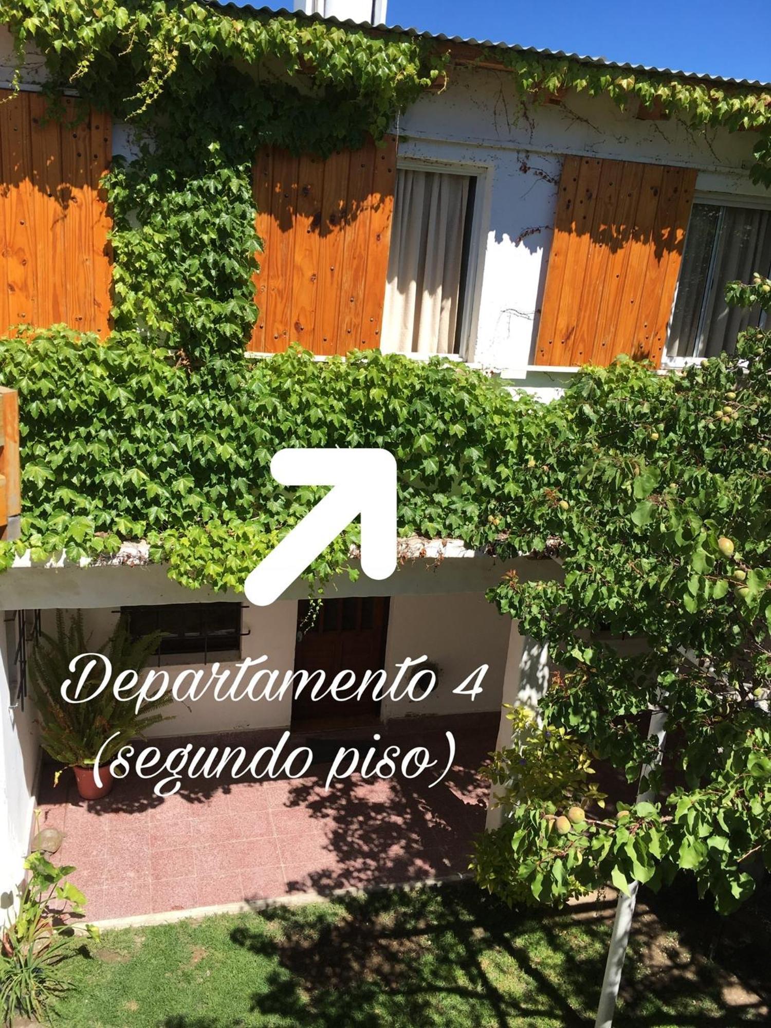 Hosteria Isabel Departamentos Y Habitaciones Con Bano Privado 拉斯格路塔斯 客房 照片